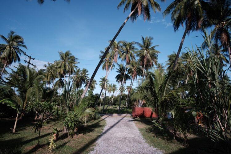 Coconut Tree Homestay Ban Wa Thon Ngoại thất bức ảnh